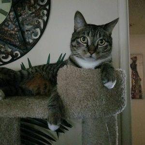 Meet your Posher, Tishawna